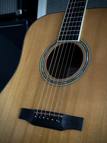 Larrivée D-09 Dreadnought inkl. Pickup (1996) Foto 20