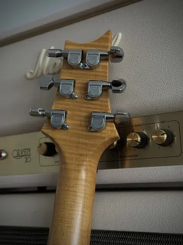 PRS Swamp Ash Special Black Ultra Flamed Neck (1999) Foto 9