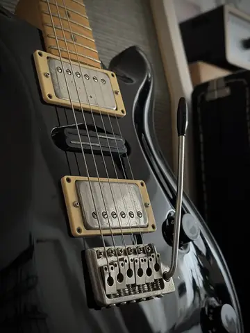 PRS Swamp Ash Special Black Ultra Flamed Neck (1999) Foto 14