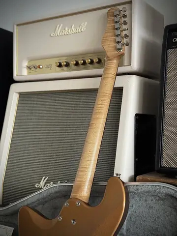 Limitless Sonora Gold Roasted Pine HB/P90 (2022) Foto 9