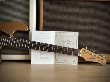 Limitless Sonora Gold Roasted Pine HB/P90 (2022) Foto 22