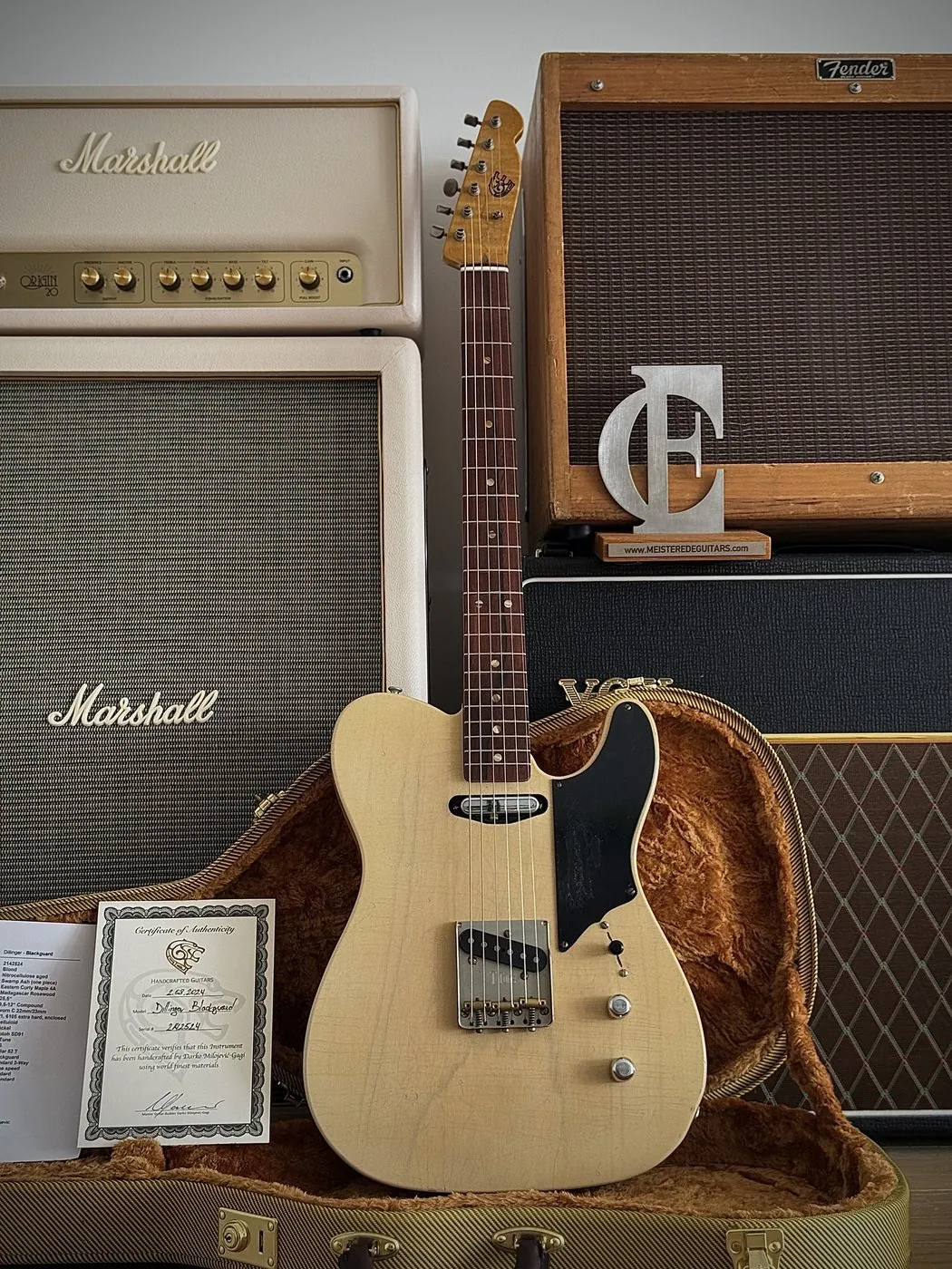 Leo Guitars Dillinger Relic Blackguard (2024, Neuware)