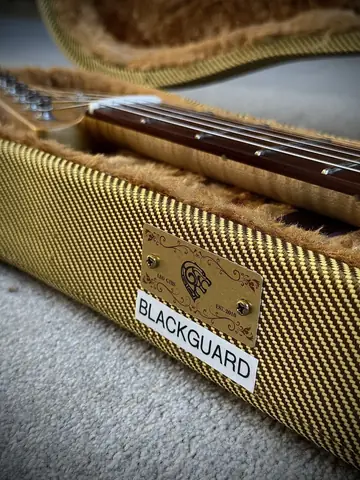 Leo Guitars Dillinger Relic Blackguard (2024, Neuware) Foto 20