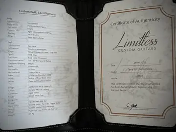 Limitless Opus Evo Semi-Hollow Goeldo Trem (2025) Photo 6