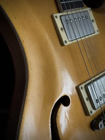 Limitless Opus Evo Semi-Hollow Goeldo Trem (2025) Photo 31