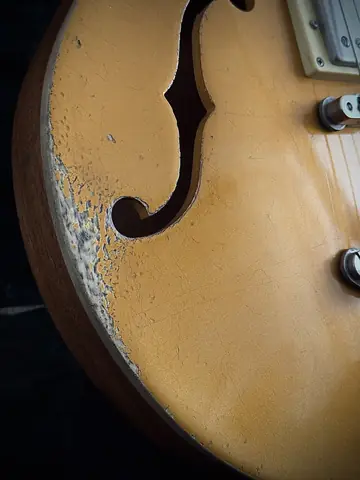 Limitless Opus Evo Semi-Hollow Goeldo Trem (2025) Photo 36