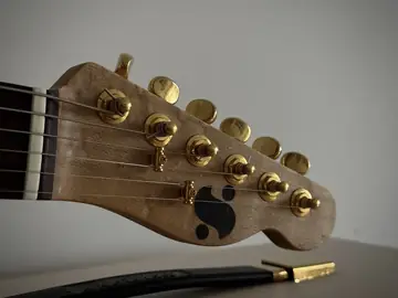 Suwak Thinline T-Style Dual Coil Esquire (2026, new) Photo 16