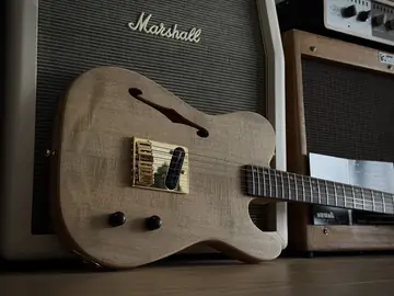 Suwak Thinline T-Style Dual Coil Esquire (2026, new) Photo 19