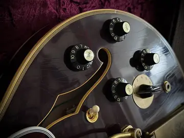 Gibson Murphy Lab B.B. King „Rumble in the Jungle“ 1974 ES-355 #36 Foto 16