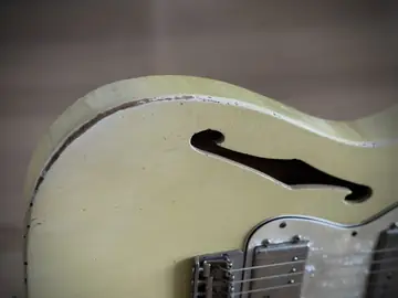 Danocaster Thinline T Aged (Lollar Widerange) Foto 19