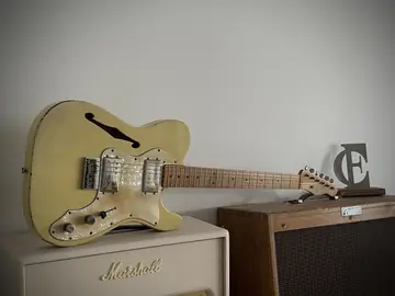 Danocaster Thinline T Aged (Lollar Widerange) Foto 23