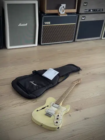 Danocaster Thinline T Aged (Lollar Widerange) Foto 34