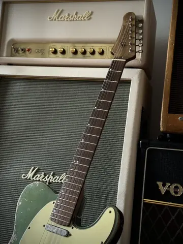 Franchin Meister Ede's Relic T Photo 3