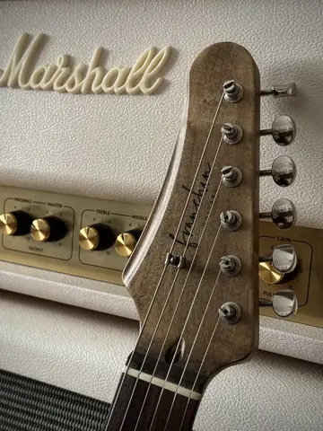 Franchin Meister Ede's Relic T Photo 4