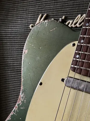 Franchin Meister Ede's Relic T Photo 5