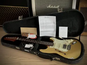 Franchin Mercury F Thinline — Frost Gold Relic (Ede's Custom Order) Foto 3