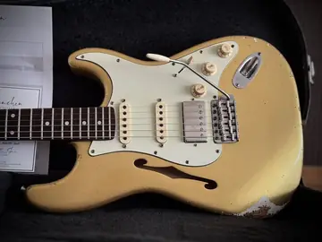 Franchin Mercury F Thinline — Frost Gold Relic (Ede's Custom Order) Foto 5