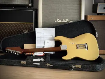 Franchin Mercury F Thinline — Frost Gold Relic (Ede's Custom Order) Foto 6