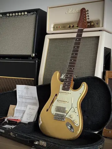 Franchin Mercury F Thinline — Frost Gold Relic (Ede's Custom Order) Foto 15