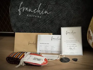 Franchin Mercury F Thinline — Frost Gold Relic (Ede's Custom Order) Foto 18