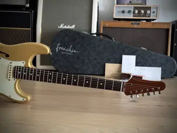 Franchin Mercury F Thinline — Frost Gold Relic (Ede's Custom Order) Foto 28