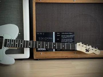 Suwak Thinline Ash T-Style Relic White Nitro (2026, Neuware) Foto 26