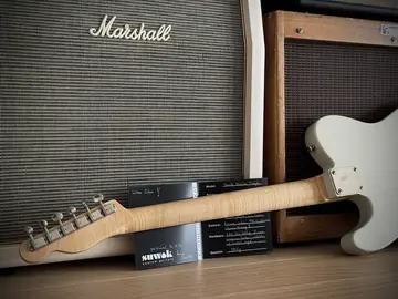 Suwak Thinline Ash T-Style Relic White Nitro (2026, Neuware) Foto 34